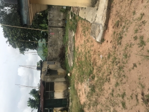 Image 1 Title