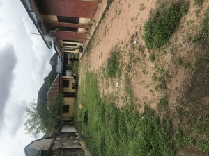 Image 1 Title
