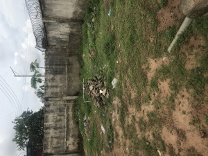 Image 1 Title