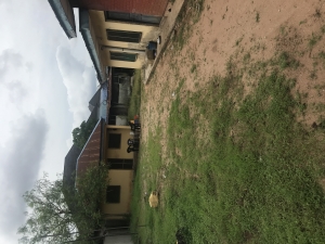 Image 1 Title