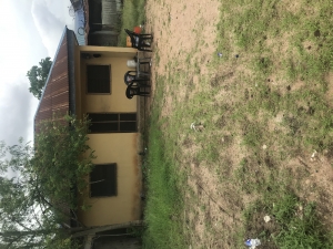 Image 1 Title