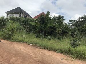 1 Plot Located At Akachi Layout With Cofo 1 Plot of Land for Sale Owerri Imo Vetra  Property