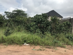 Image 1 Title