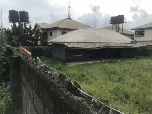 Image 1 Title
