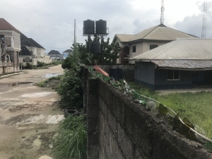 Image 1 Title
