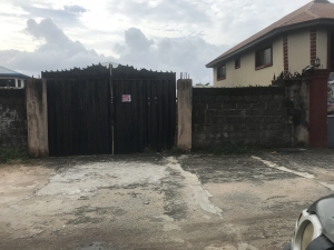 Image 1 Title