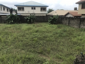 Image 1 Title