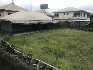 Image 1 Title