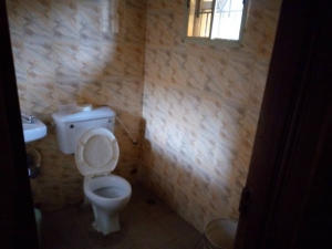 Image 1 Title
