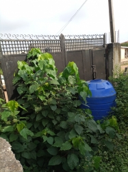 Image 1 Title
