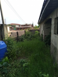 Image 1 Title