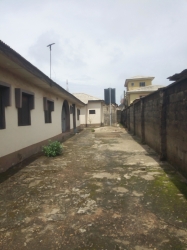 Image 1 Title
