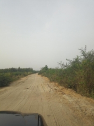 Image 1 Title