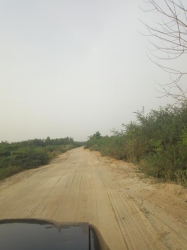 Image 1 Title