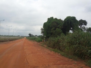 Image 1 Title