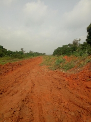 Image 1 Title