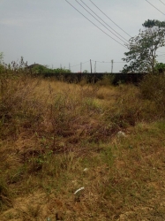 Image 1 Title