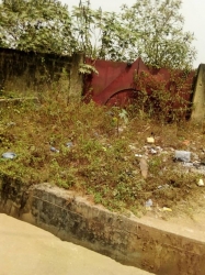 Image 1 Title