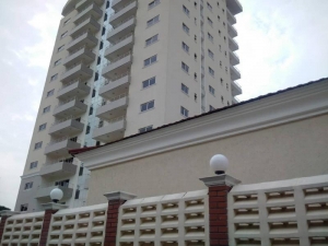 Image 1 Title