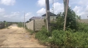Image 1 Title