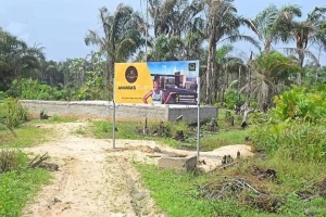 Image 1 Title