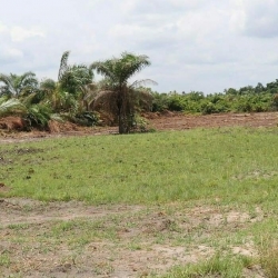 Image 1 Title