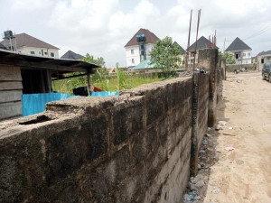 Image 1 Title