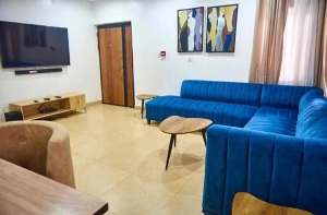 4 Bedroom Fully Detached Duplex  4 bedroom Detached Duplex for Short let Lekki Lagos Vetra  Property
