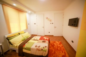 Image 1 Title