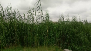6 Plot Of Land Measuring 3900sqm 3,900 Meter Square of Land for Sale Lekki Lagos Vetra  Property