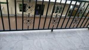 Image 1 Title
