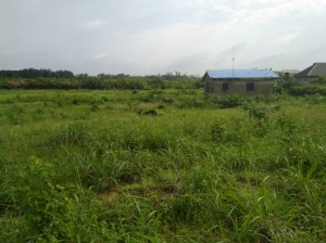 4 Plots Of Land @ibeju Lekki, Close To Pan Atlantic University, Former Lagos Business Sch. Aiyegbami Area. It Has All Documents Except C Of O. #4m Per Plot. 4 Plots of Land for Sale Ibeju Lekki Lagos Vetra  Property