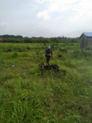Image 1 Title