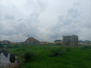 Image 1 Title