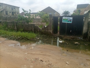 Plot Of Land On Chief Wahab Irawo Street, Peace Estate Ago 1 Plot of Land for Sale Isolo Lagos Vetra  Property