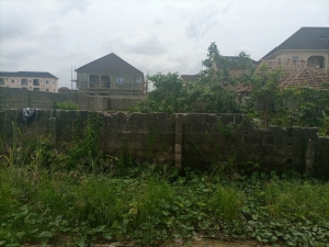 Image 1 Title