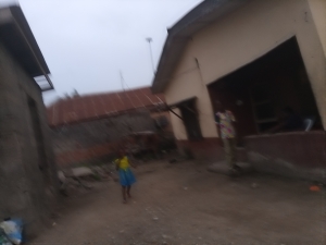 Image 1 Title