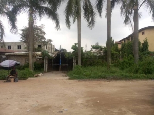 4 Plots 2600sqm Of Land On Godmon Street, Off Okota Road, Okota 2,600 Meter Square of Land for Sale Isolo Lagos Vetra  Property