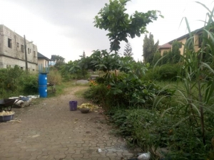 Image 1 Title