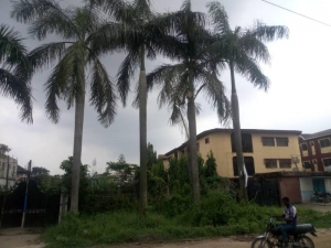 Image 1 Title