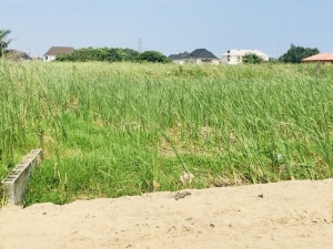 Image 1 Title