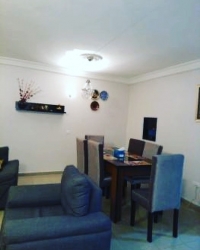 Luxury Furnished 3 Bedroom Apartment  3 bedroom Flat for Rent Victoria Island Lagos Vetra  Property