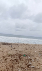 Beachfront Estate Opp. Eleko Beach, Own Plots Near The Beach  Land for Sale Ibeju Lekki Lagos Vetra  Property