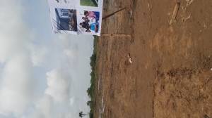 Image 1 Title