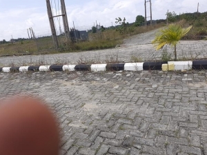 Image 1 Title