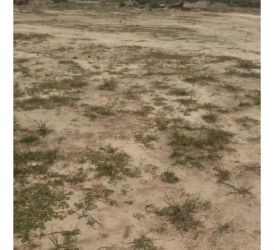 A 585m2 Square Land At Arowojobe Estate, Maryland, Lagos. 585 Meter Square of Land for Sale Maryland Lagos Vetra  Property