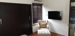 Image 1 Title