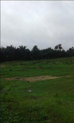 One And Half Plots Of Land At Yusuf Street, Oke Ira, Ogba.  2 Plots of Land for Sale Ogba Lagos Vetra  Property