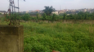 A Piece Of Land Measuring 350m2 At Magodo Shangisha, Lagos 350 Meter Square of Land for Sale Kosofe Ikosi Lagos Vetra  Property