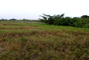 3.22hectares Land(commercial) For Sale At Kukwaba, Fct Abuja @ N2billion 3 Hectare of Land for Sale Kukwuaba Abuja Vetra  Property